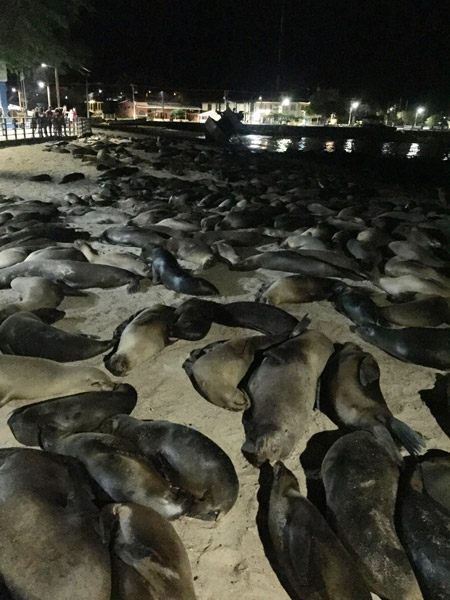 HHS trip to Galapagos