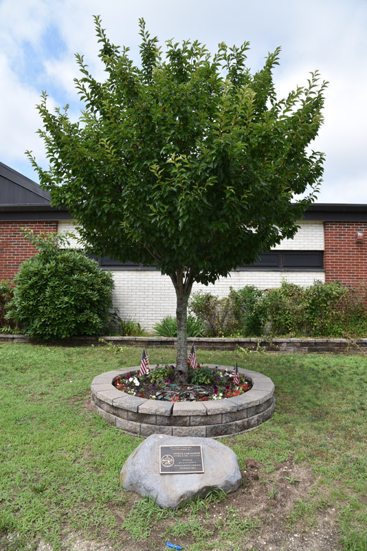 Patrick Liam Hannon memorial