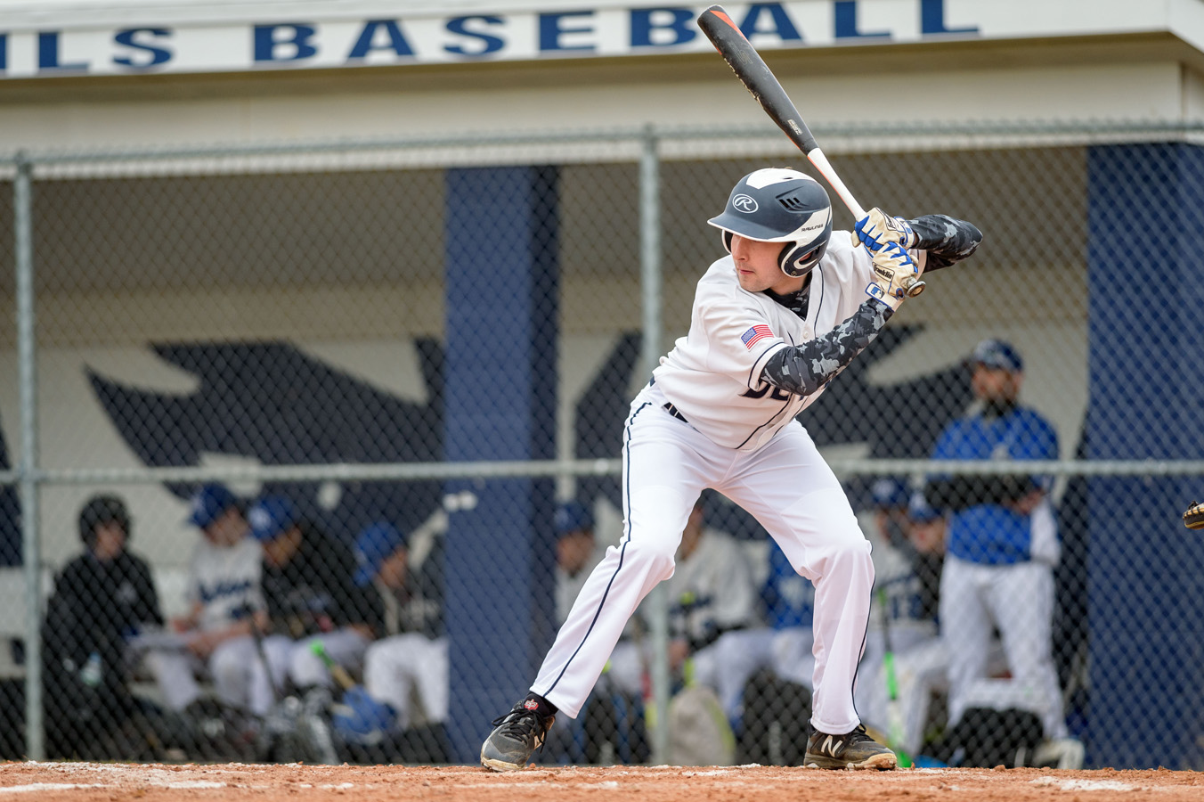 Eleventh baseball image