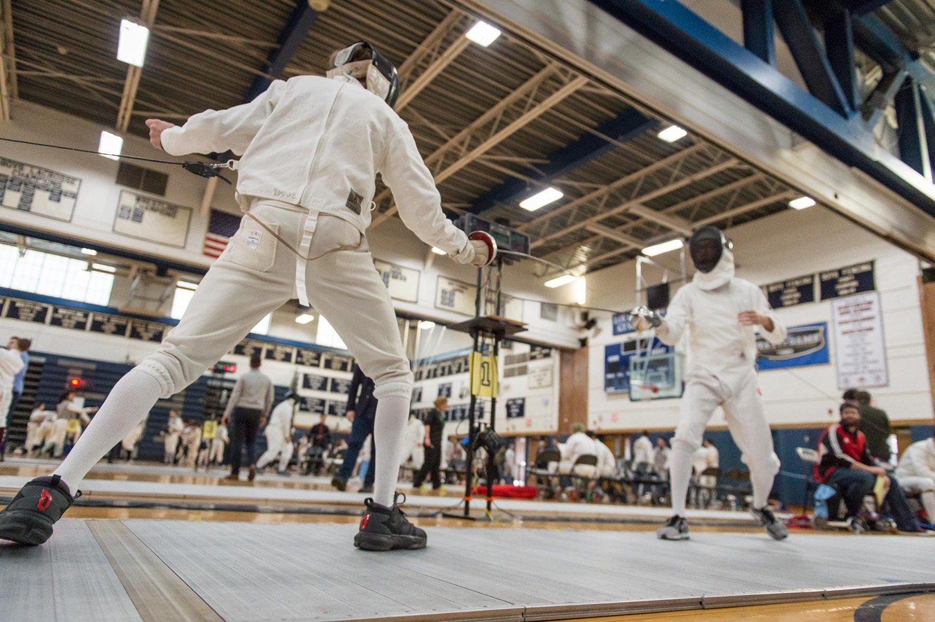 Third fencing image