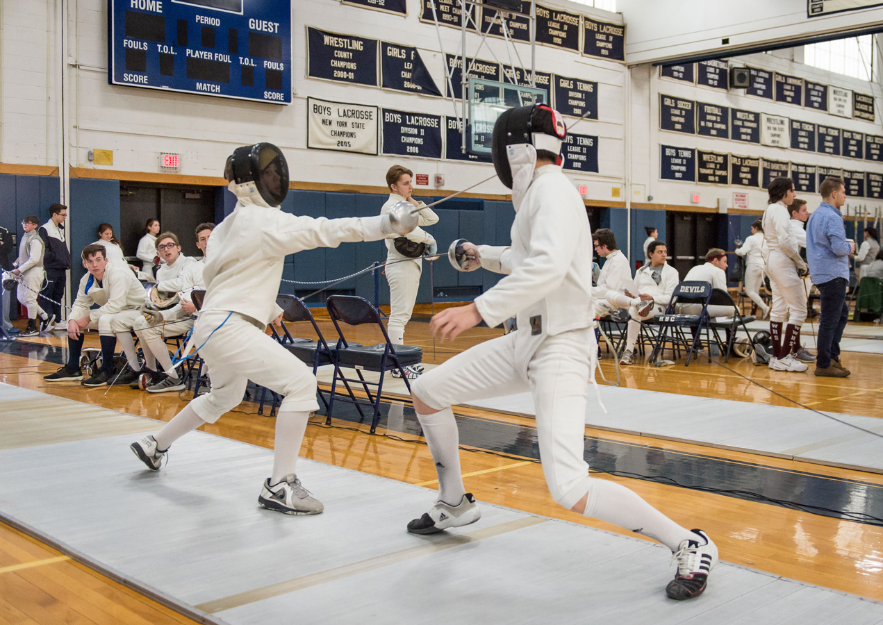 Sixth fencing image