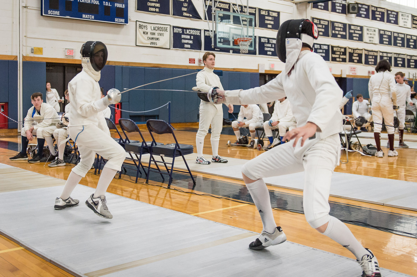 Seventh fencing image