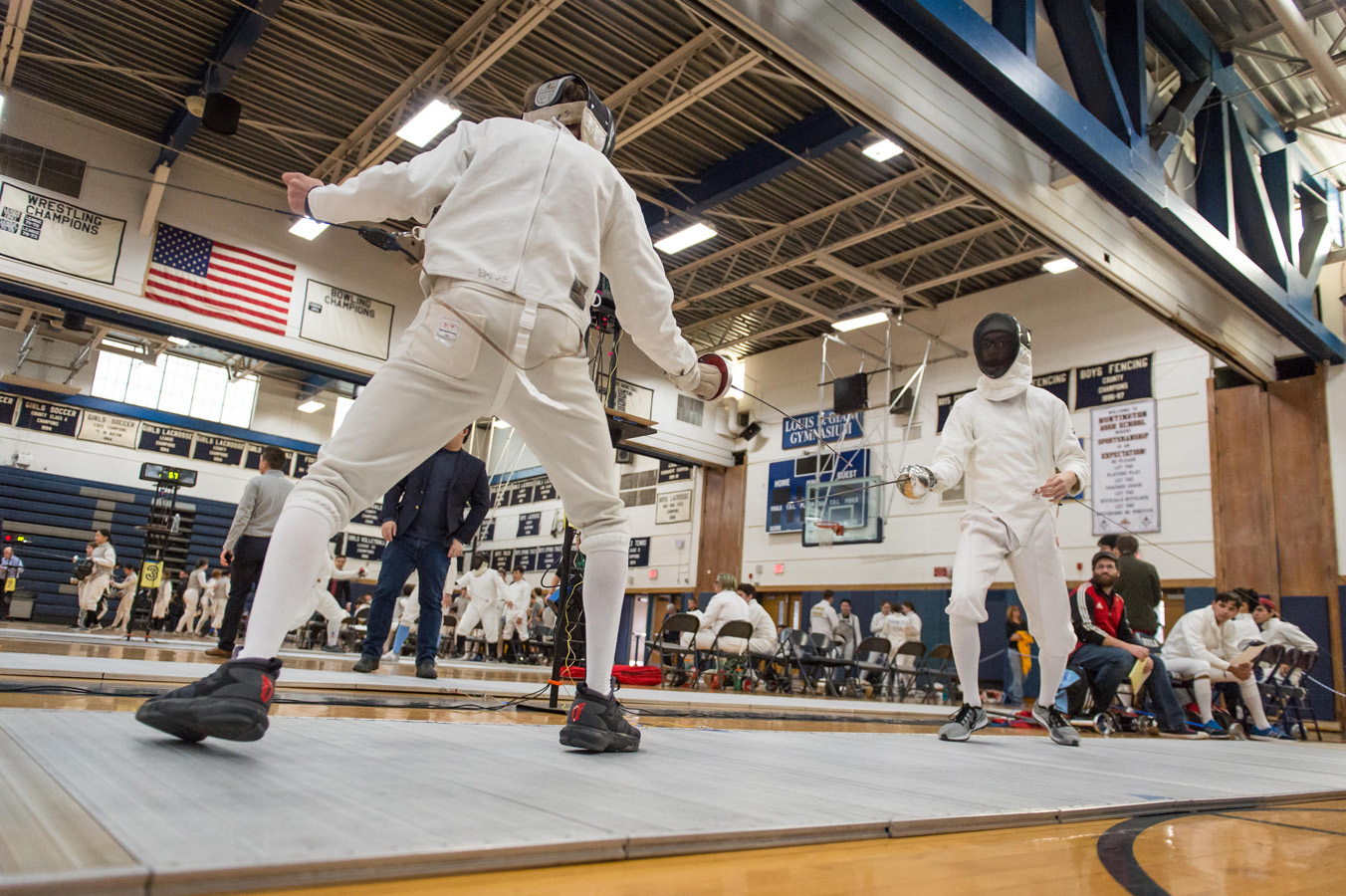 Eleventh fencing image