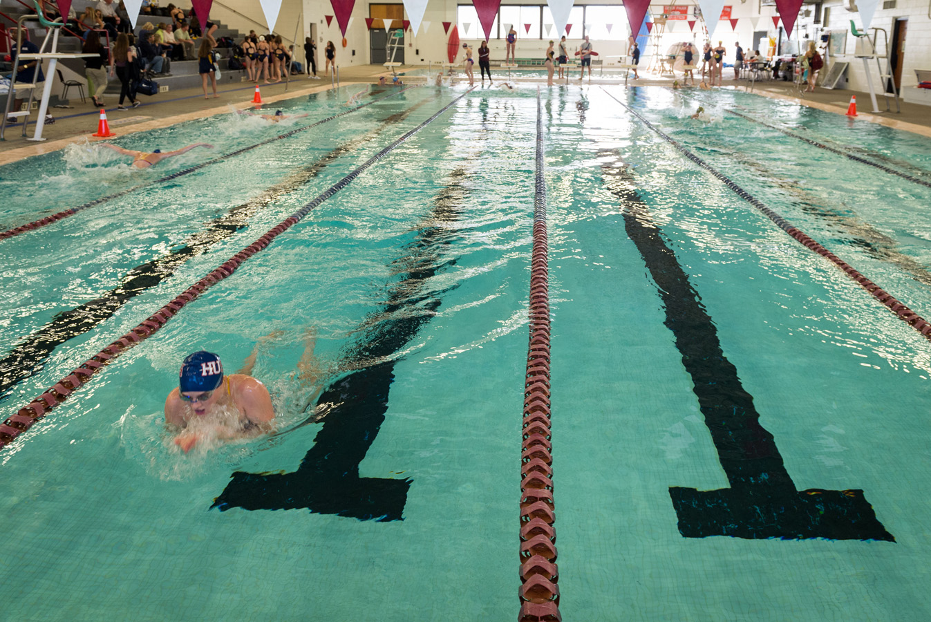 Third Swim image