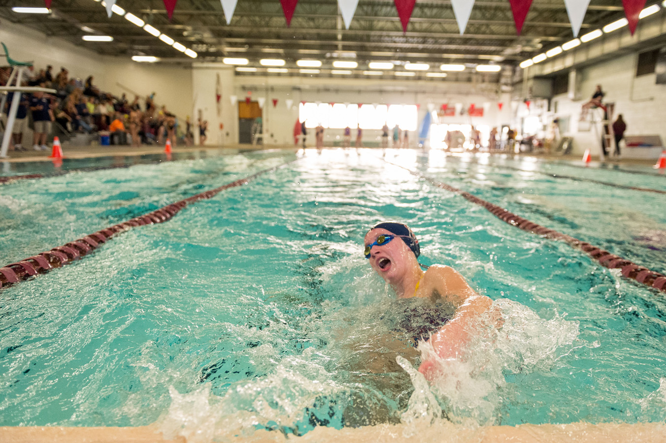 61st Swim image