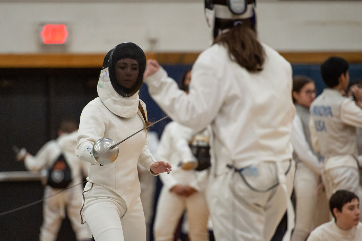 Fifth fencing image