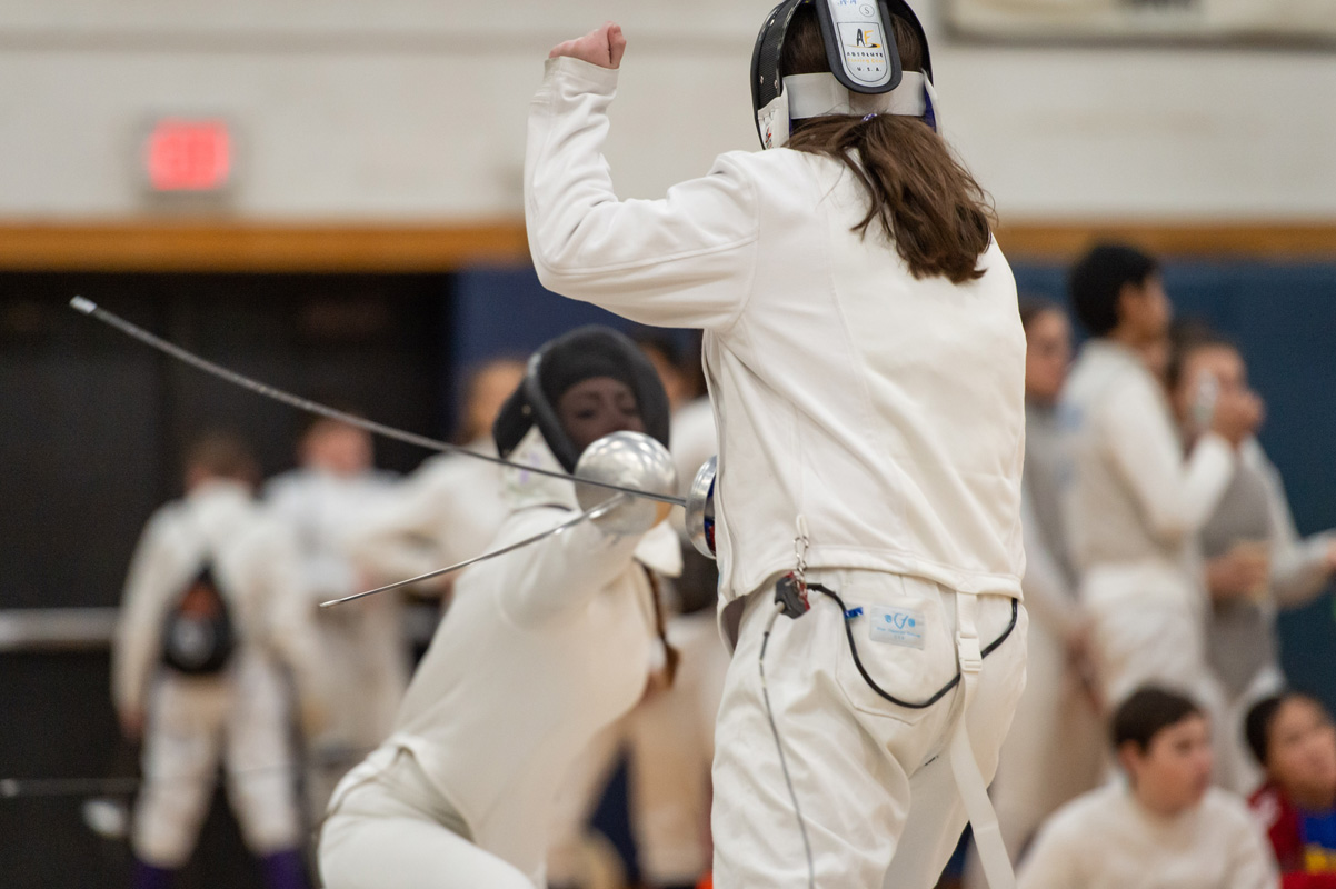 Sixth fencing image