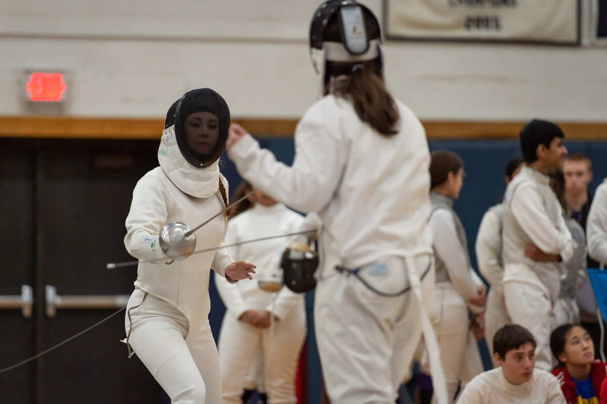 Seventh fencing image