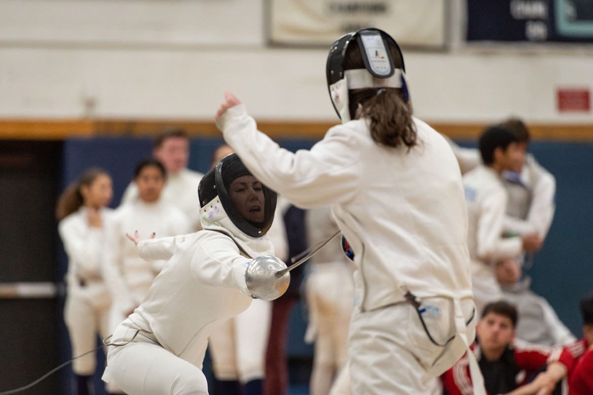 Eleventh fencing image