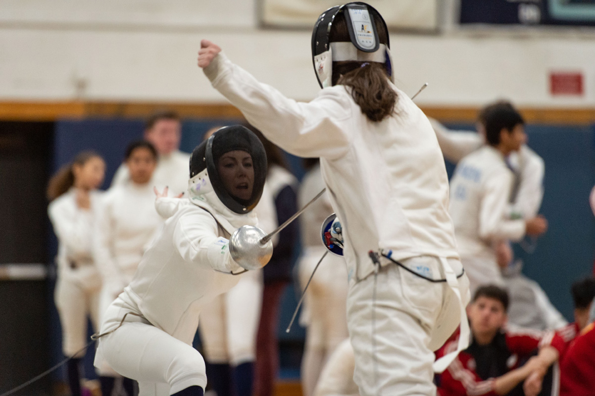 Twelfth fencing image