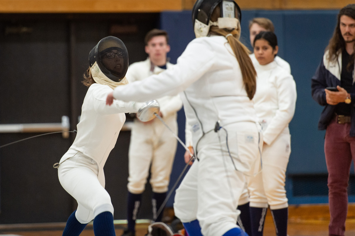 15th fencing image