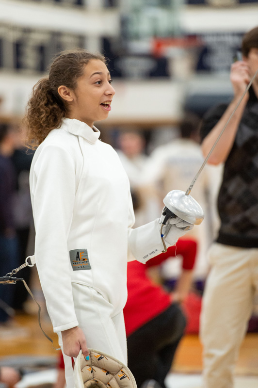 19th fencing image