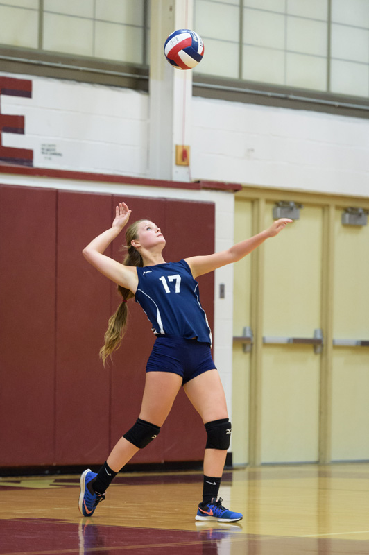 Sixth volleyball image