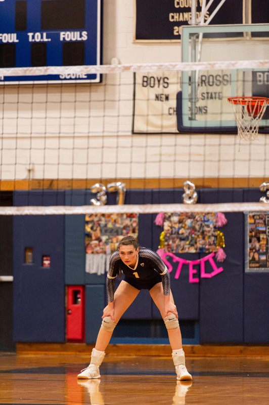 33rd volleyball image