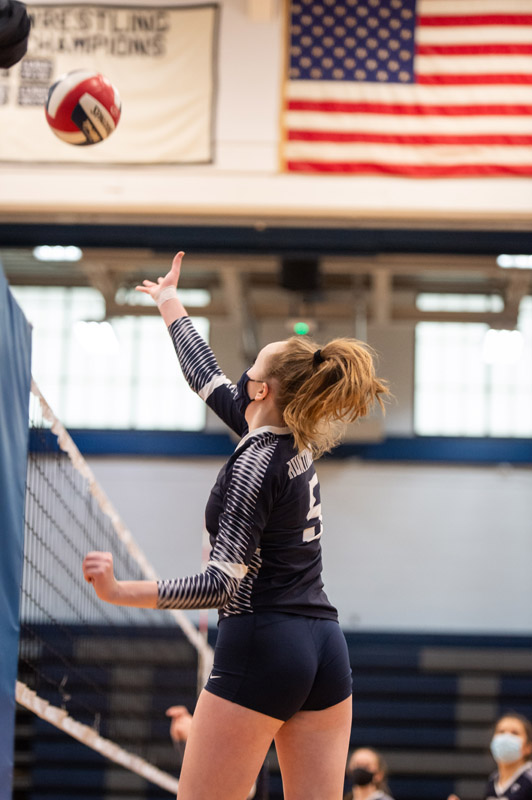 24th volleyball image