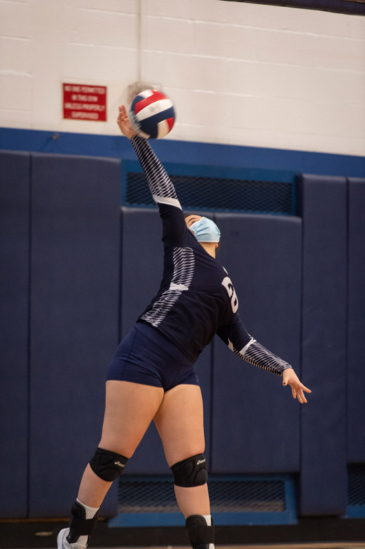 41st volleyball image