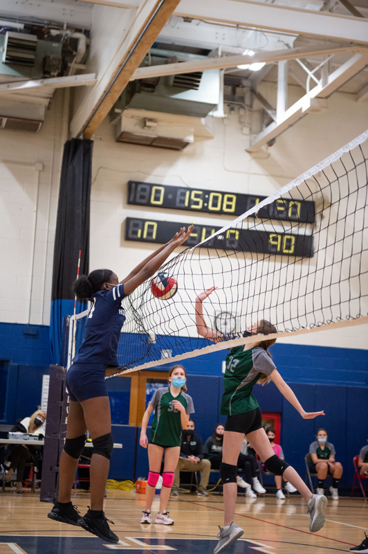60th volleyball image