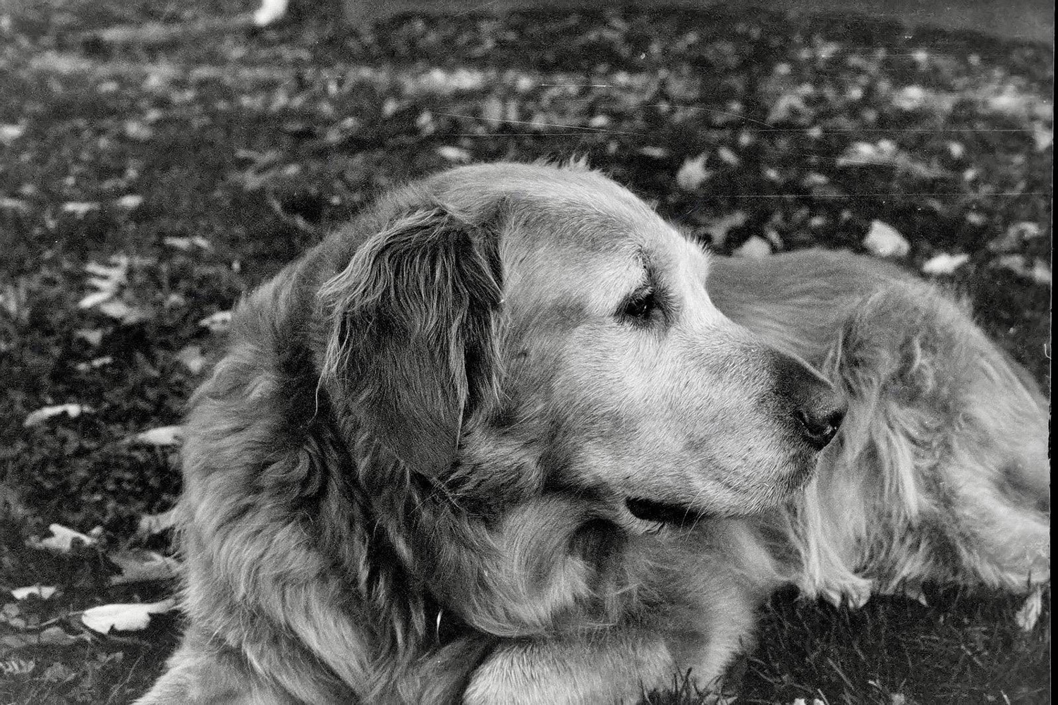  Huntington students took a series of spectacular black and white photos   