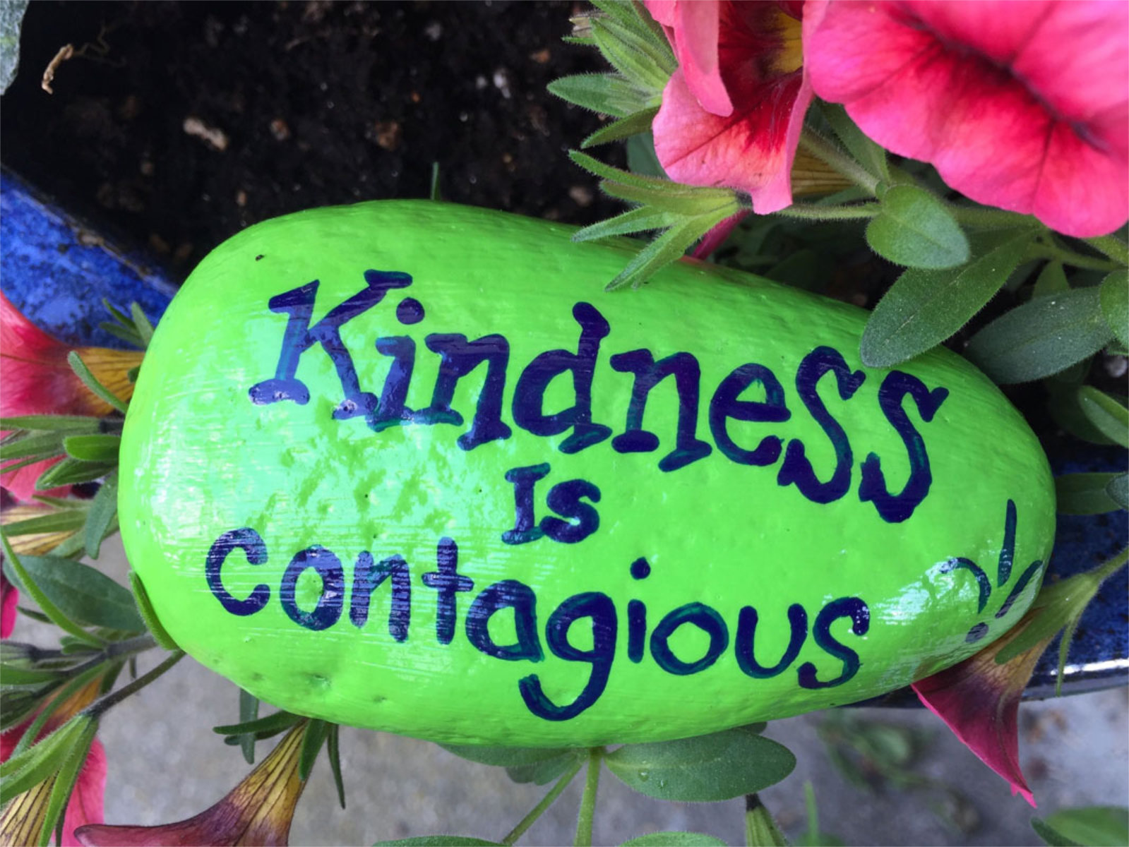  Washington students are the I in the word Kind (1)