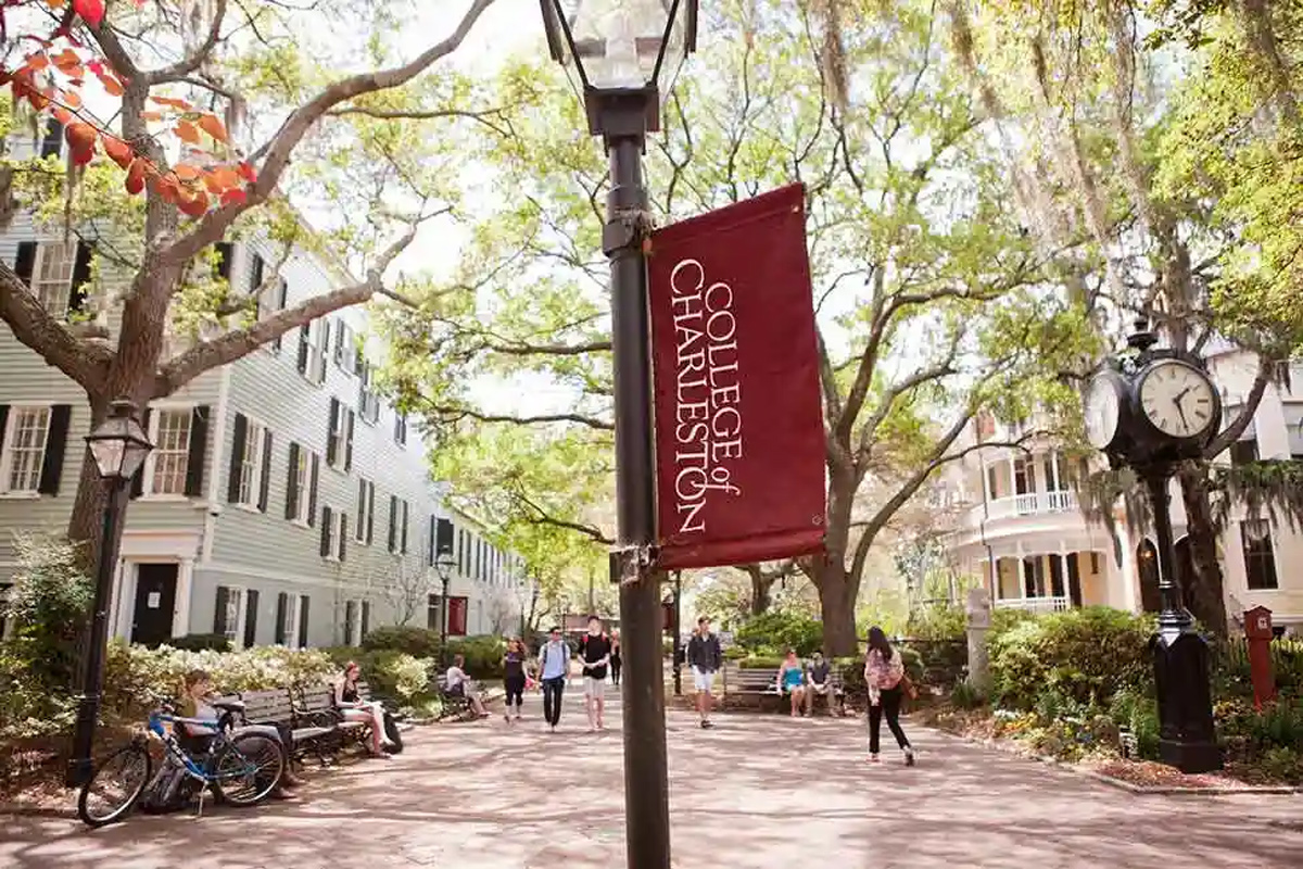 AltCaption  