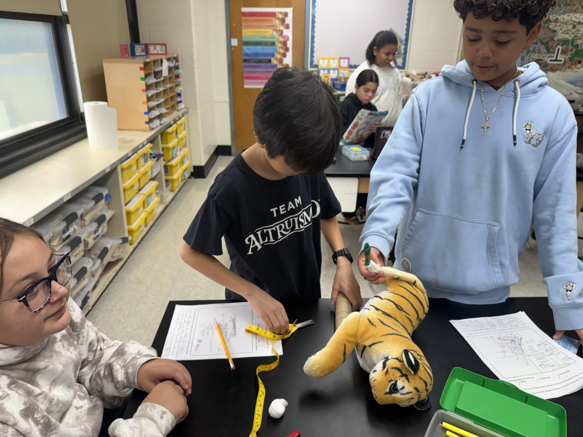 Jack Abrams students are busy at working learning about animals and their ecosystems. 