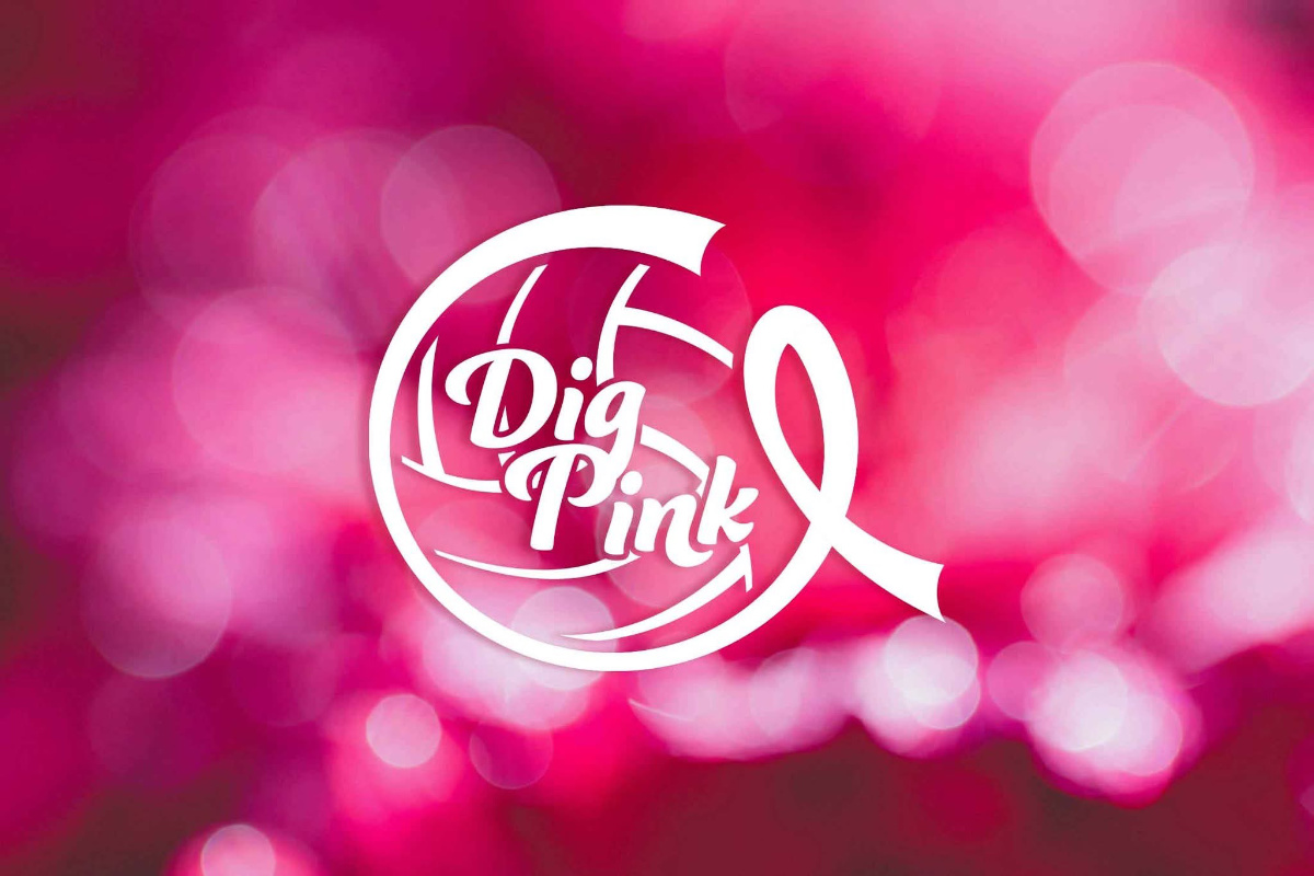  The Blue Devils will take on the Northport Tigers in the annual Dig Pink Breast Cancer Awareness Game  